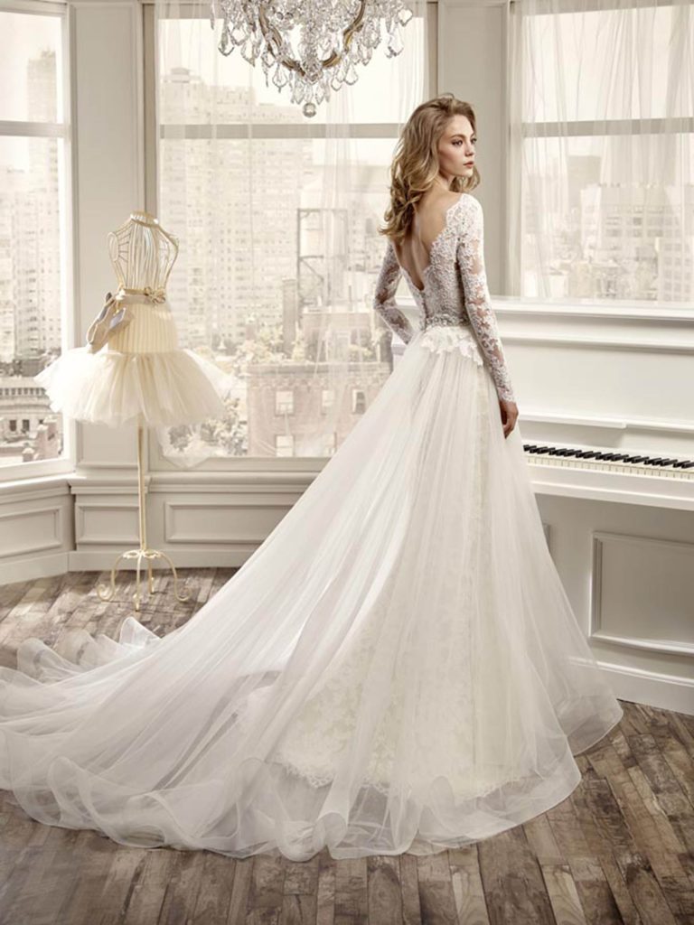 NIAB16048-1-B